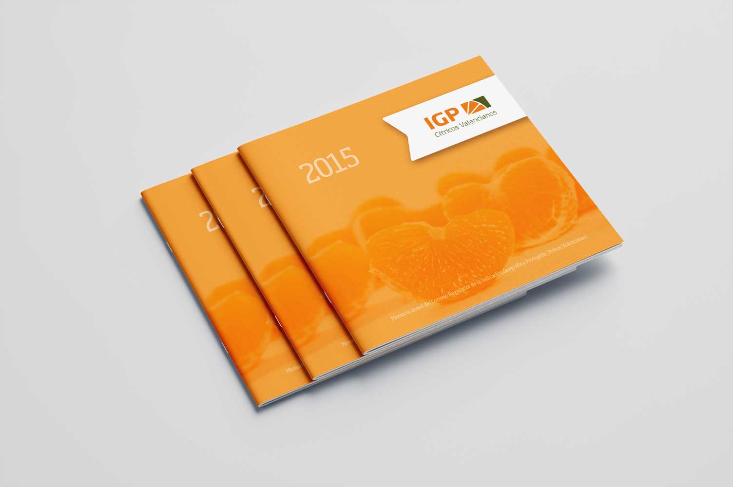 Diseño de portada memoria anual IGP 2015
