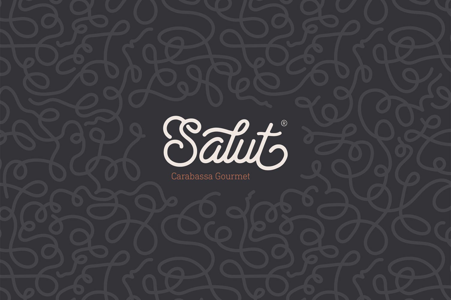 Diseño de marca completa para packaging Salut v3